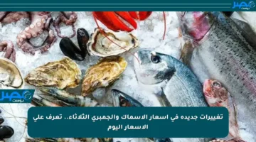 تغييرات جديدة في أسعار الأسماك والجمبري الثلاثاء.. تعرف على الأسعار اليوم